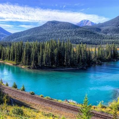 大发黄金版app下载