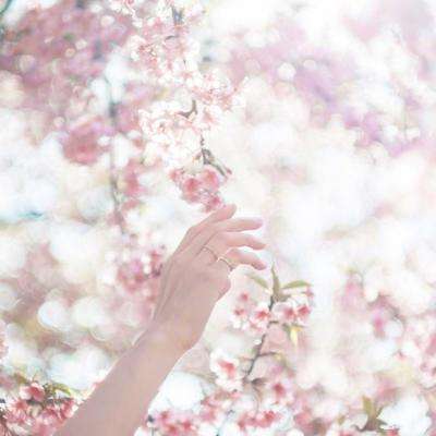 bob综合app官方下载截图